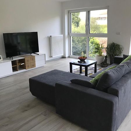 Ferienwohnung „Frosch“ Neukirchen-Balbini Zewnętrze zdjęcie
